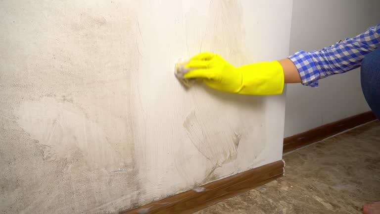 Mold Remediation for Rental Properties in Sparks, GA