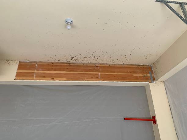 Mold Remediation for Vacation Homes in Sparks, GA